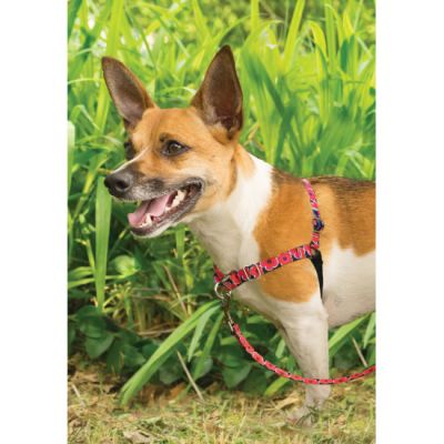 Arnés Easy Walk Diseño Flores