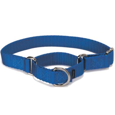 Collar de paseo Martingale Azul