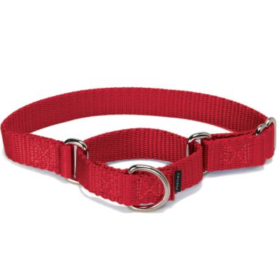 Collar de paseo Martingale Rojo