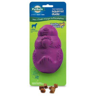 Squirrel Dude Morada Grande