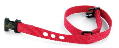 Correa de repuesto Collar Mediano