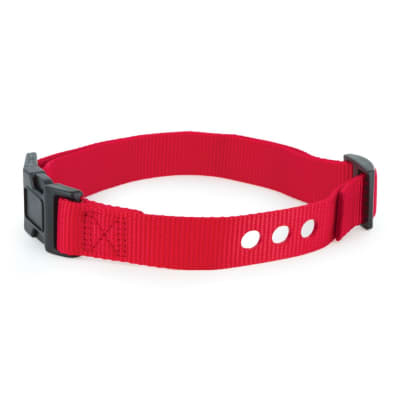 Correa Roja Collar perro Grande