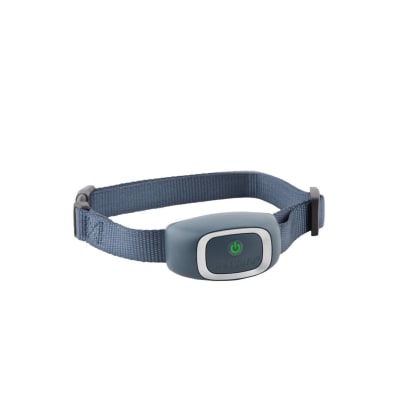 NUEVO Collar Antiladrido Estático