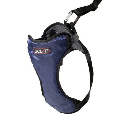 Arnés de seguridad para el Auto Azul