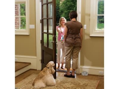 Antiladrido Ultrasónico para interiores