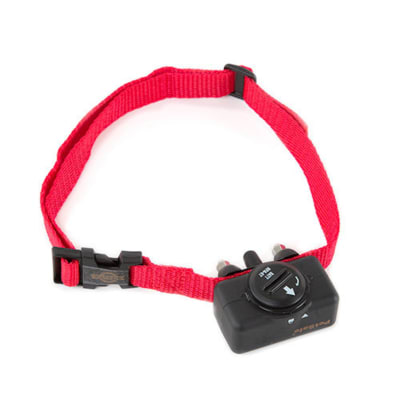 Collar Antiladrido Estático