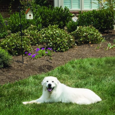 Antiladrido Ultrasónico para exterior