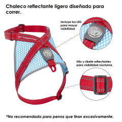 Arnés On Trail Run-lite