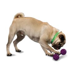 Hueso Waggle Mediano