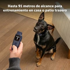 Collar de entrenamiento Básico