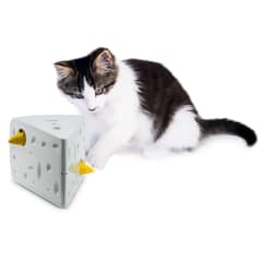 Queso para gatos
