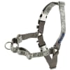 Arnés Easy Walk Gris Brillante1