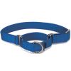 Collar de paseo Martingale Azul1