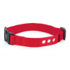 Correa Roja Collar perro Grande1