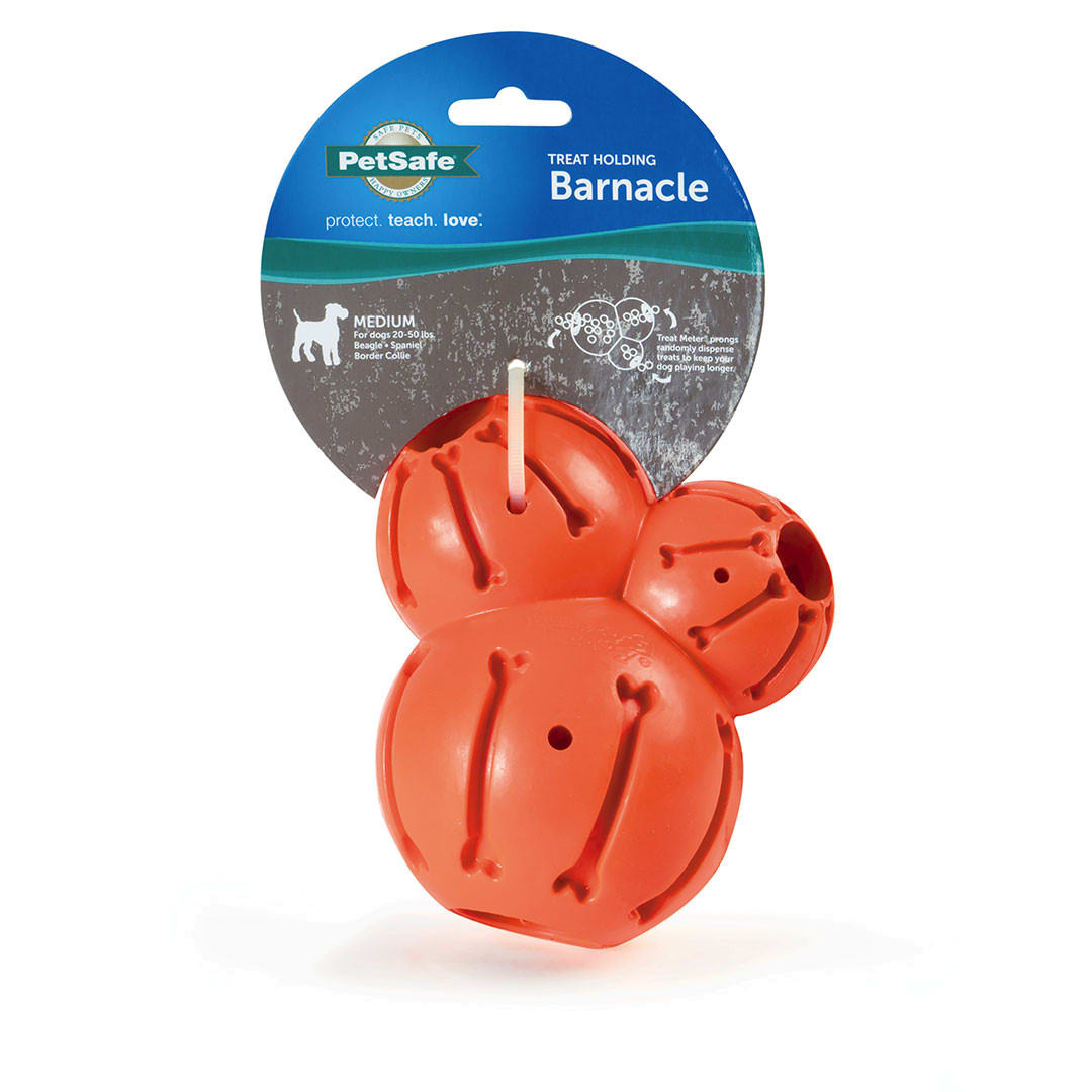 Barnacle Medium PetSafe Chile