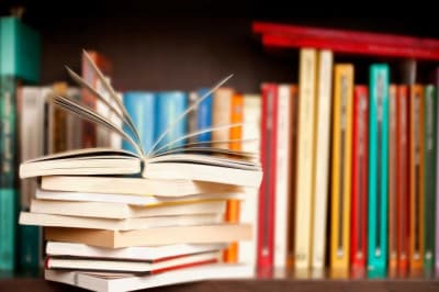 Recomendaciones de libros del equipo LIBOOKS para todo el año