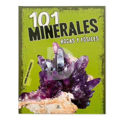 101 MINERALES ROCAS Y FÓSILES - CARMEN MARTUL HERNÁNDEZ
