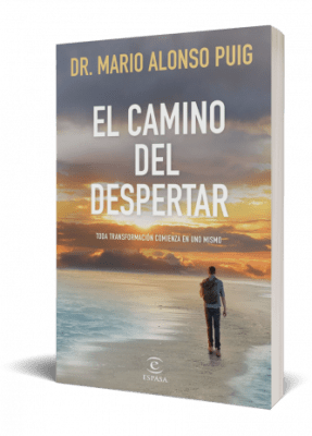 EL CAMINO DEL DESPERTAR - MARIO ALONSO PUIG