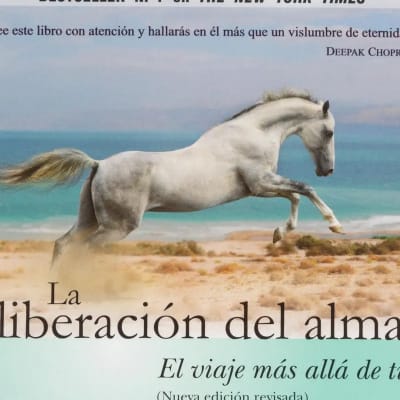 LA LIBERACIÓN DEL ALMA - MICHAEL A. SINGER