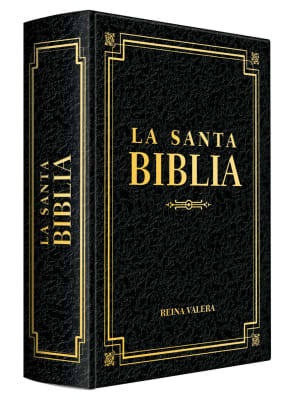 SANTA BIBLIA - REINA VALERA GRANDE BORDES DORADOS