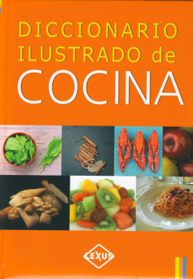 DICCIONARIO ILUSTRADO DE COCINA