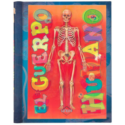 CUERPO HUMANO TRANSVICIONES ESPIRALADO