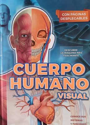 CUERPO HUMANO VISUAL