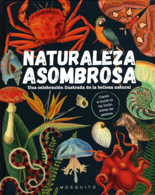 NATURALEZA ASOMBROSA. BELLEZA NATURAL