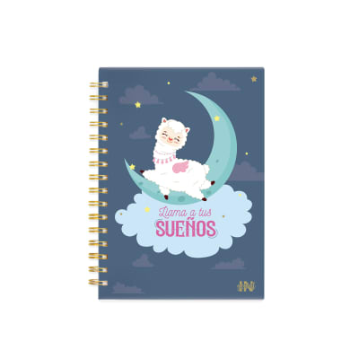 DIARIO INGENIAL LLAMI