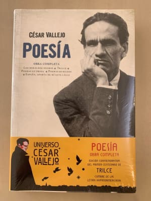 POESÍA-CESÁR VALLEJO