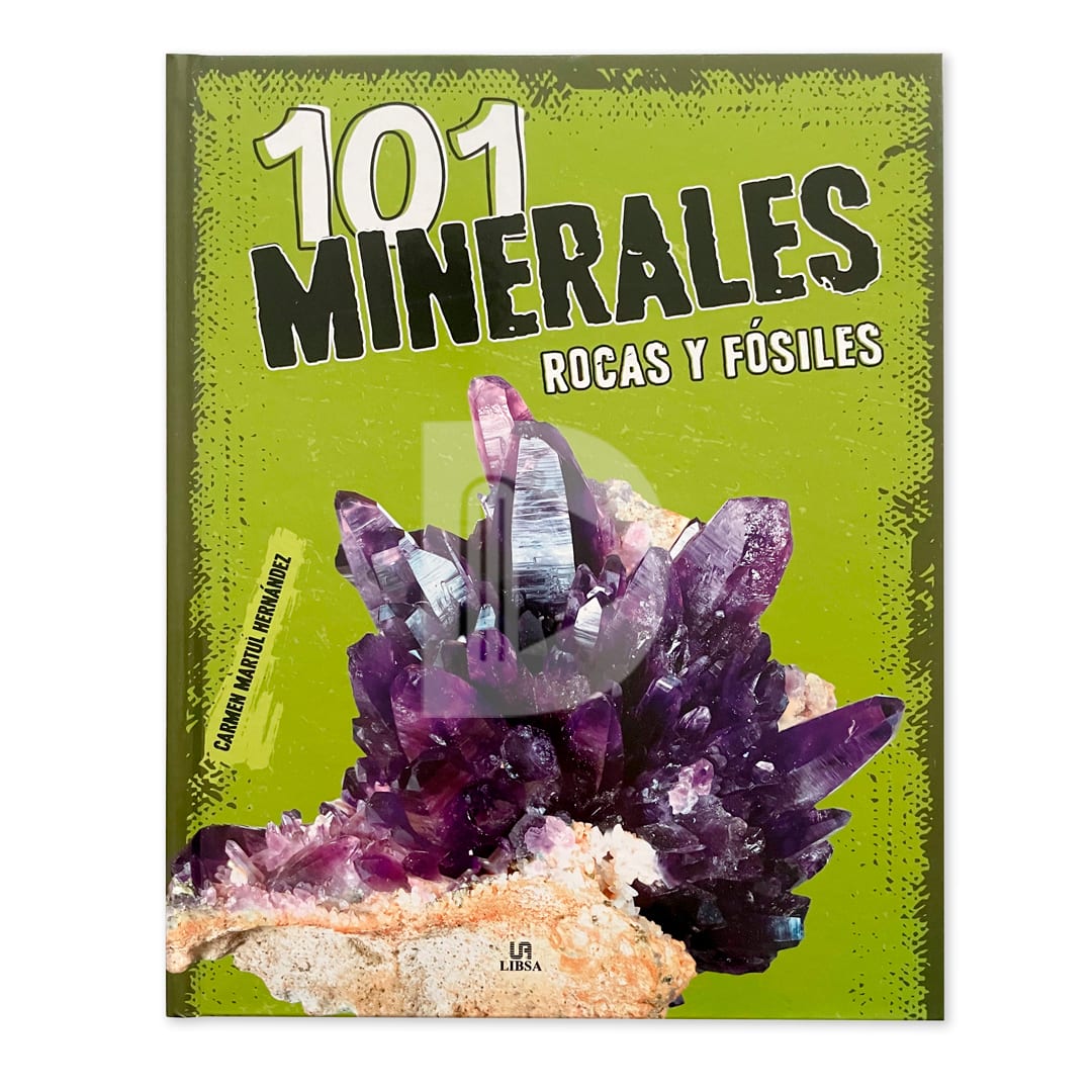 101 MINERALES ROCAS Y FÓSILES - CARMEN MARTUL HERNÁNDEZ1