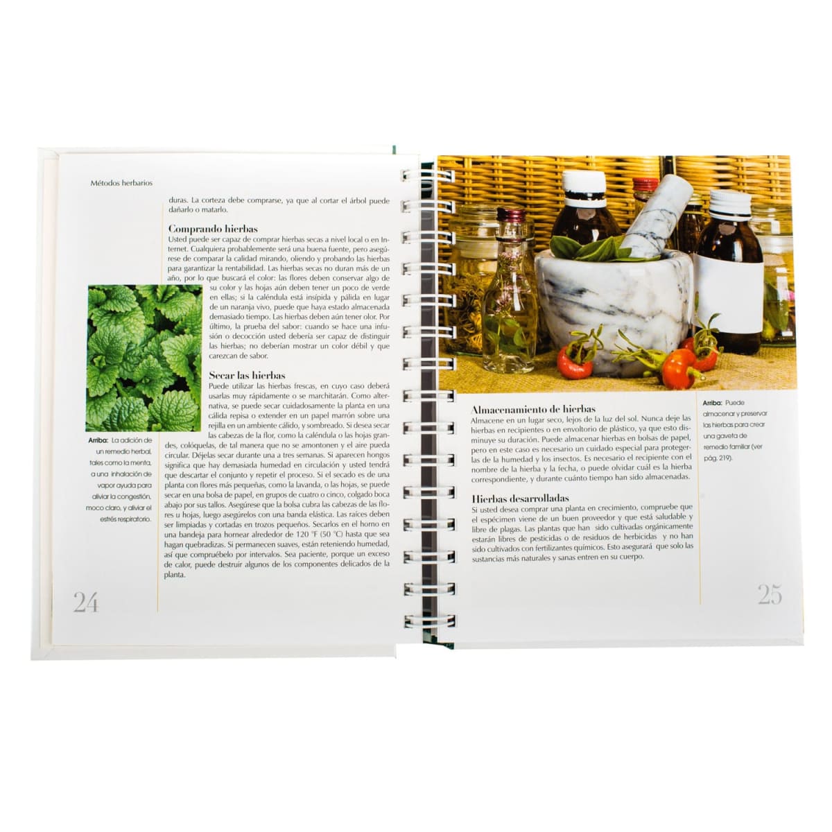 PLANTAS MEDICINALES3