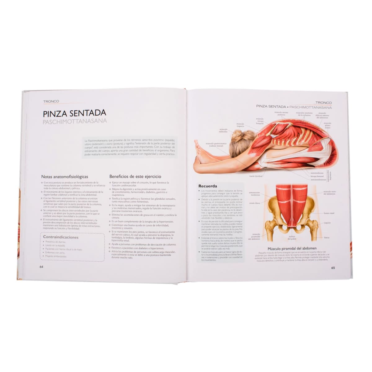 YOGA ANATOMIA POSTURAS2