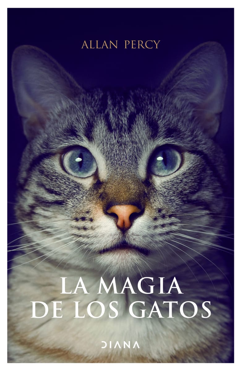 LA MAGIA DE LOS GATOS1