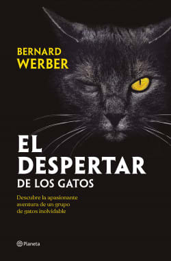 EL DESPERTAR DE LOS GATOS1