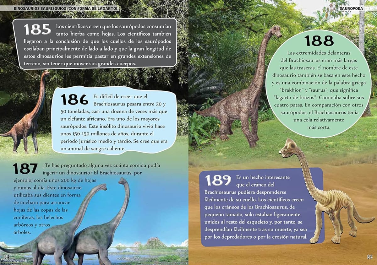 500 CURIOSIDADES DE DINOSAURIOS4