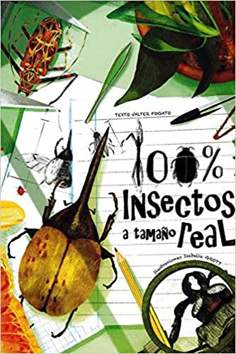 100% INSECTOS TAMAÑO REAL1