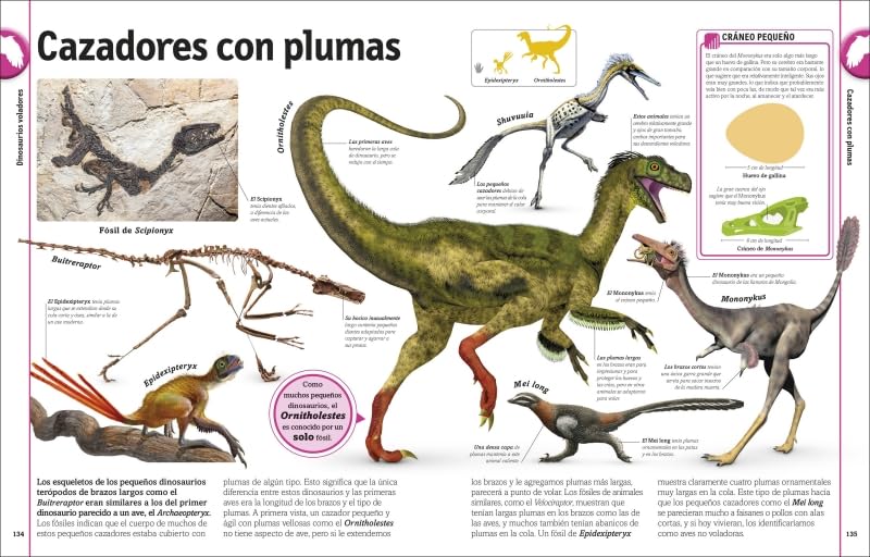 EL LIBRO DE LOS DINOSAURIOS - NUEVA EDICIÓN3
