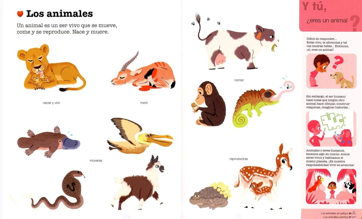 LOS ANIMALES. LA EDAD DE LOS PORQUÉS TD2