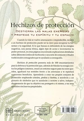 HECHIZOS DE PROTECCIÓN - ARIN MURPHY HISCOCK2