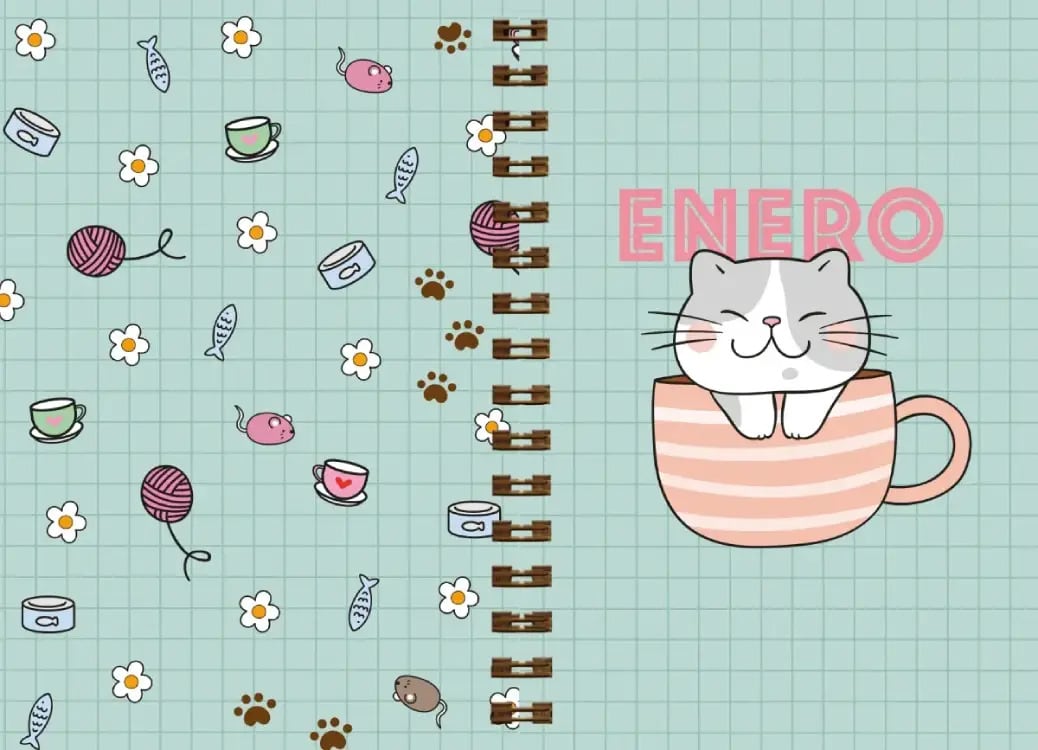 AGENDA CHICAS 2027: MACARONS2