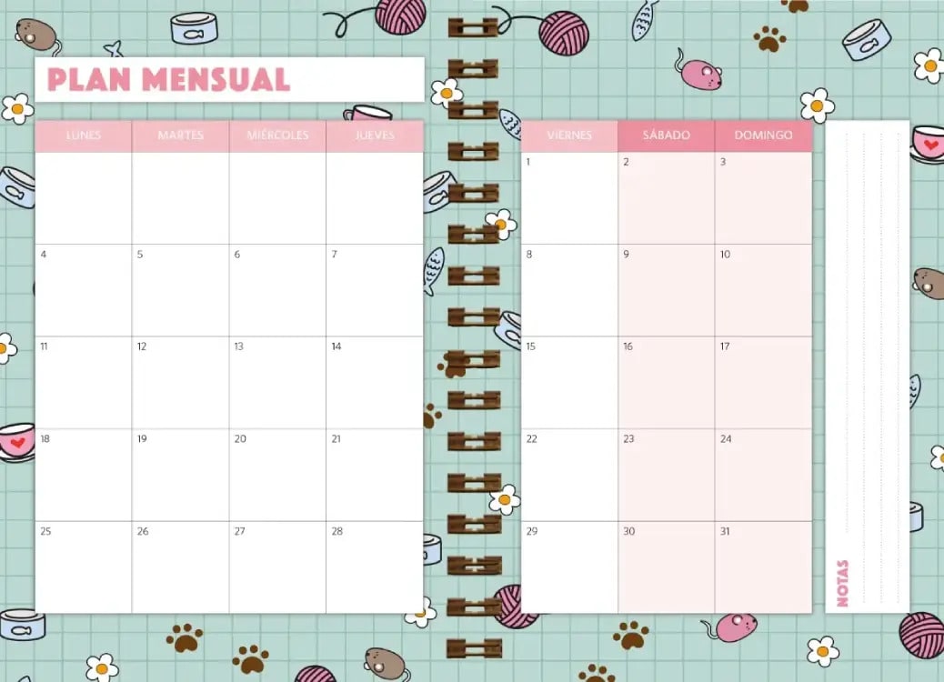 AGENDA CHICAS 2027: MACARONS3