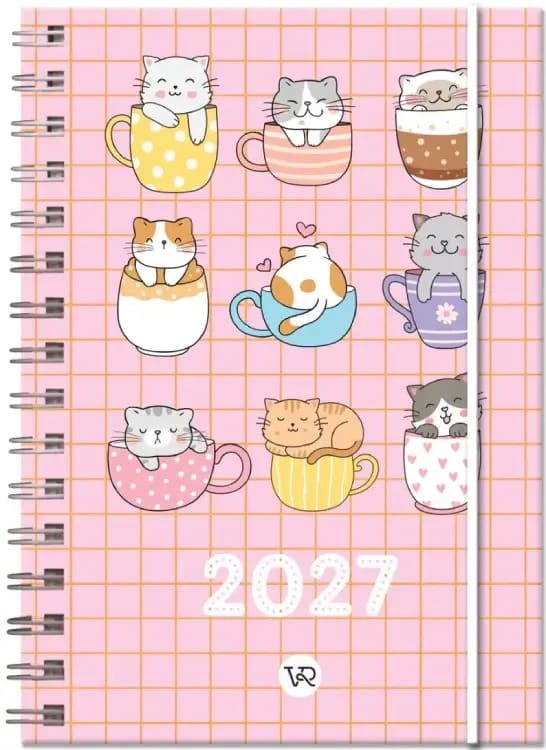 AGENDA CHICAS 2027: TAZAS1