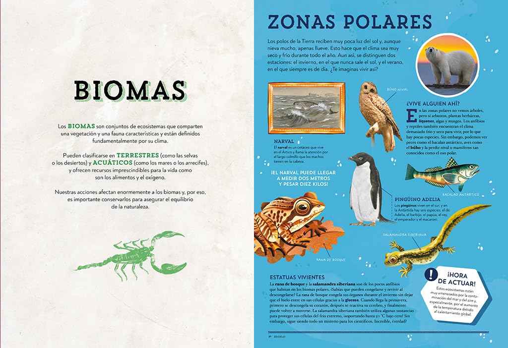 ANIMALES ASOMBROSOS. RECORRIDO POR LA BIODIVERSIDAD6