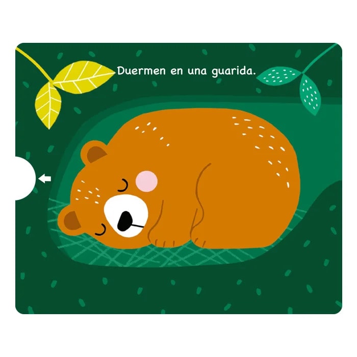 ANIMALES DEL BOSQUE DOBLE DESPLAZAMIENTO3