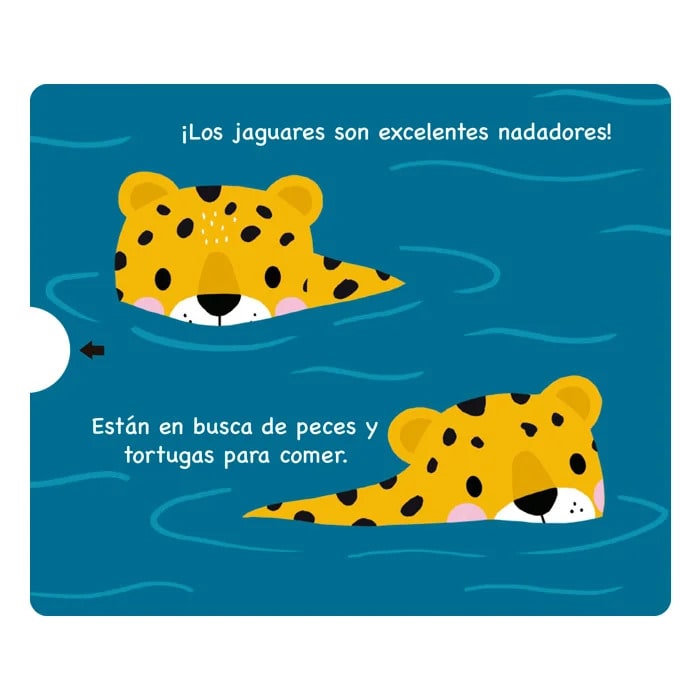 ANIMALES DEL BOSQUE TROPICAL DOBLE DESPLAZAMIENTO3