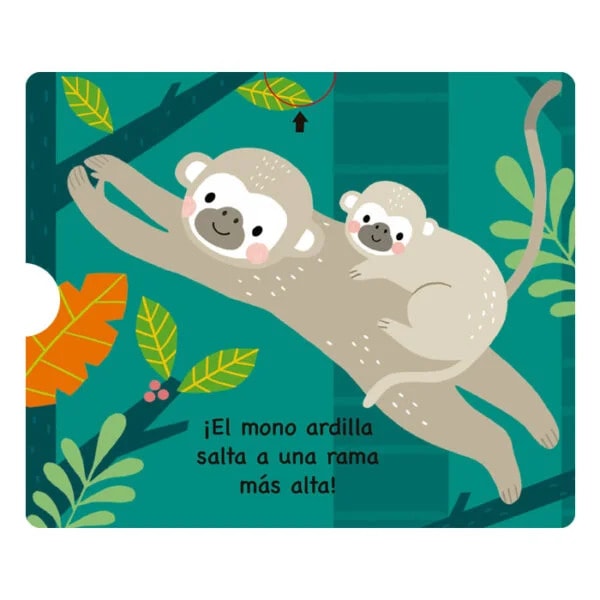 ANIMALES DEL BOSQUE TROPICAL DOBLE DESPLAZAMIENTO4