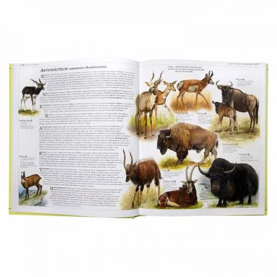 ATLAS DE ANIMALES4