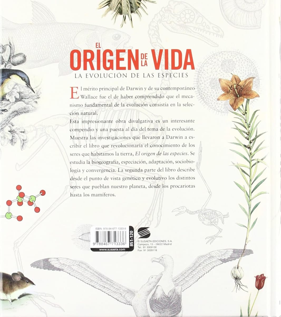 ATLAS ILUSTRADO EL ORIGEN DE LA VIDA4