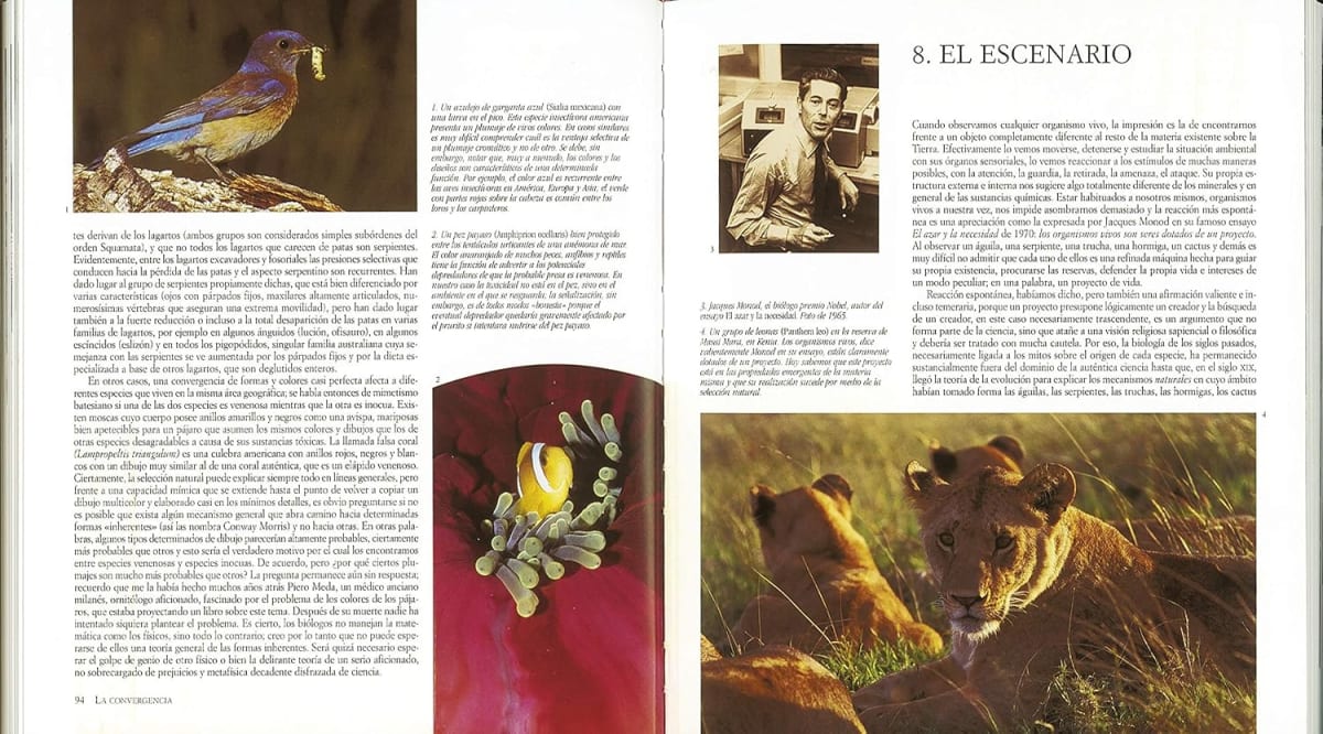 ATLAS ILUSTRADO EL ORIGEN DE LA VIDA3